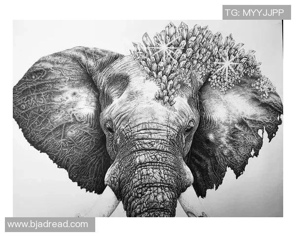 国外画师用独特风格描绘足球明星展现运动魅力与艺术之美