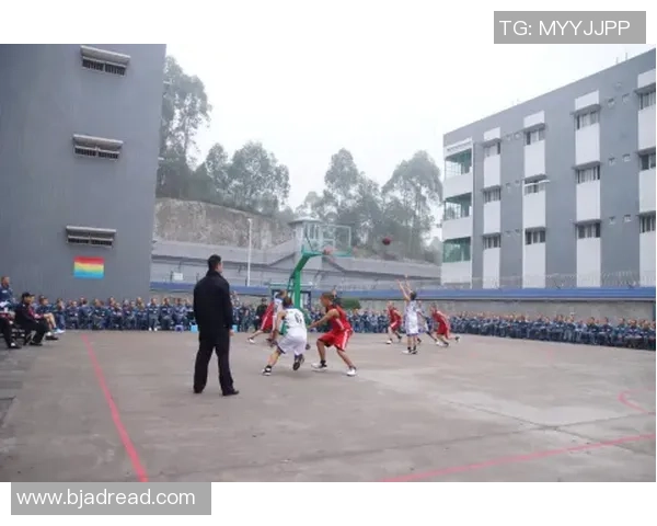 武汉乒乓球队在联合会杯中的拼搏历程与辉煌成就全景回顾