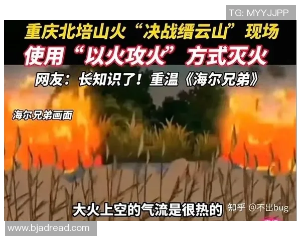 重庆排球队在杯赛中的实力展现与战术分析全景解读