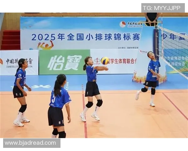 成都排球队的力量变革引发热议展现新风貌与未来潜力